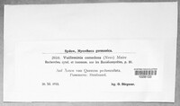 Image Associated With the Occurence